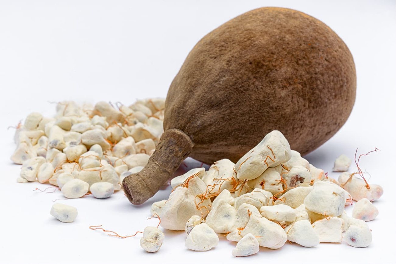 Baobab fruit pods