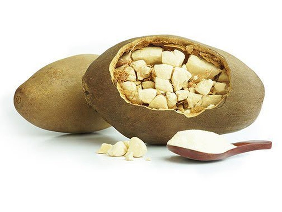 Baobab cross-section