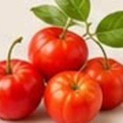 Acerola